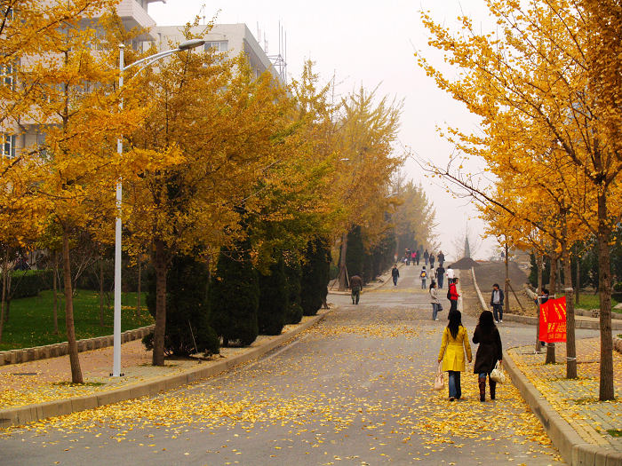 东北财经大学地处国家级风景区&
